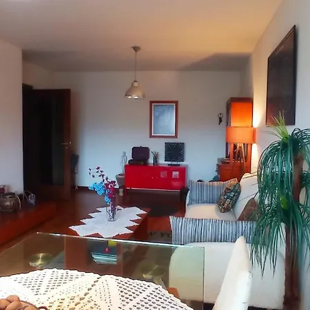 Apartment Familiar No Centro De Gaia *